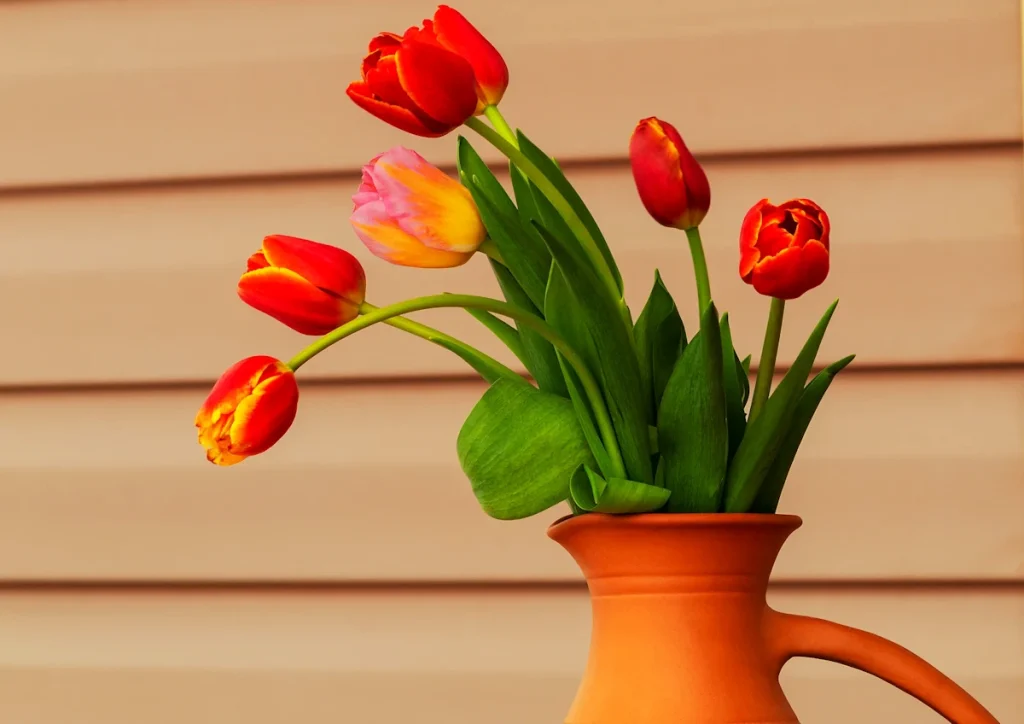 arching tulips in a pitcher