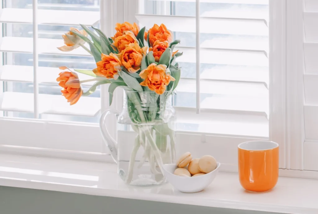 orange tulips in vase