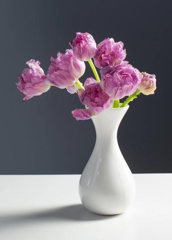 purple tulips