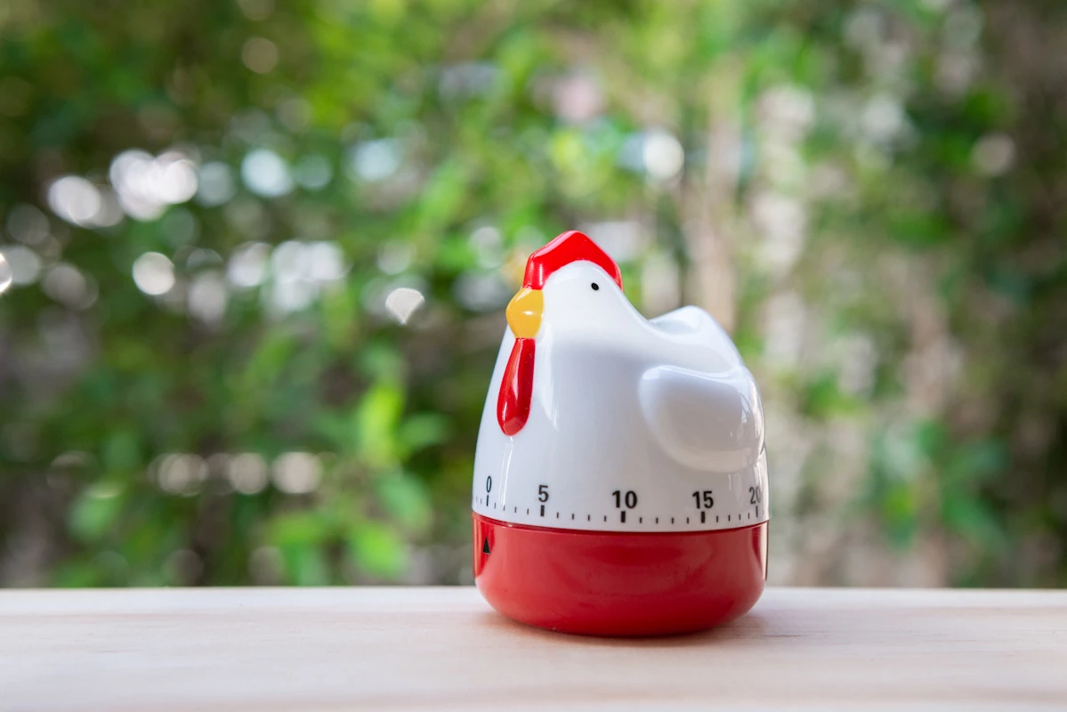 the one minute rule chicken timer